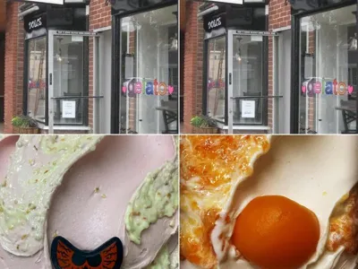 Dolce Gelato, business photo 1