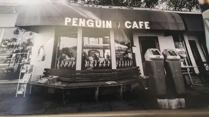 Penguin Cafe, business photo 3
